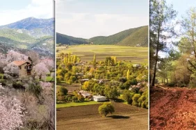 60a6f2b80f25441448f149c6